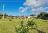 Terreno no urbanizable en venta en la España, Ciutadella de Menorca, ref: TR364813 foto