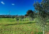 Terreno no urbanizable en venta en la España, Ciutadella de Menorca, ref: TR364813 foto