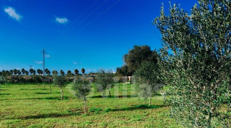 Islas Baleares - Ciudadela - 10490m2