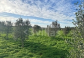 Terreno no urbanizable en venta en la España, Ciutadella de Menorca, ref: TR364813 foto