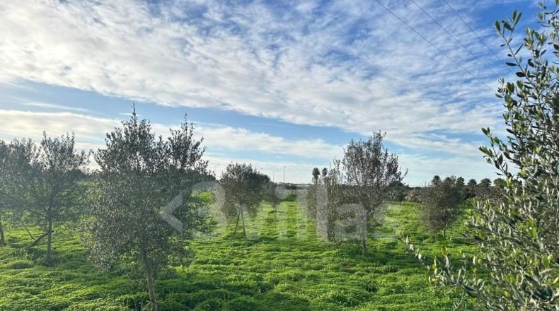 Islas Baleares - Ciudadela - 10490m2