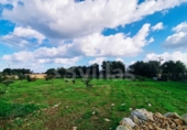 Terreno no urbanizable en venta en la España, Ciutadella de Menorca, ref: TR364813 foto
