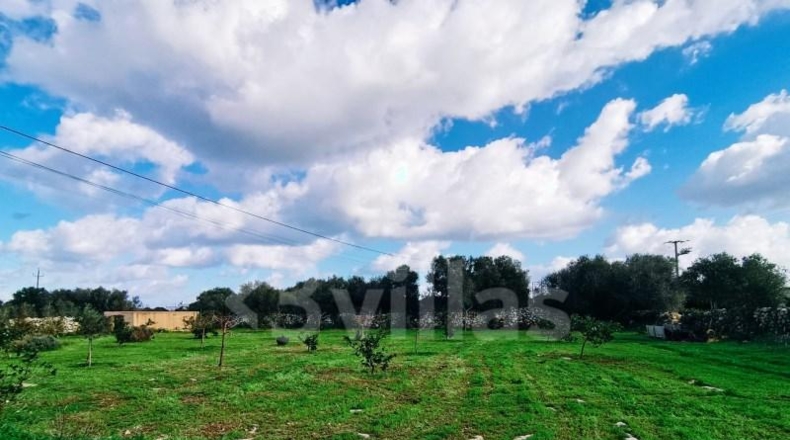 Islas Baleares - Ciudadela - 10490m2