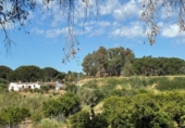 Terreno no urbanizable en venta en la España, Gibraleón, ref: TR407585 foto