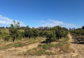 Terreno no urbanizable en venta en la España, Gibraleón, ref: TR407585 foto