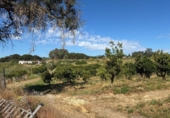 Terreno no urbanizable en venta en la España, Gibraleón, ref: TR407585 foto