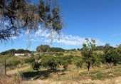 Terreno no urbanizable en venta en la España, Gibraleón, ref: TR407585 foto