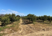 Terreno no urbanizable en venta en la España, Gibraleón, ref: TR407585 foto