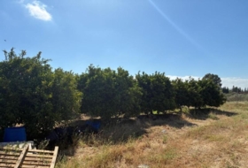 Gibraleón 45900&nbsp;m²