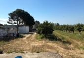 Terreno no urbanizable en venta en la España, Gibraleón, ref: TR407585 foto