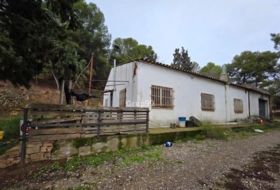 Alpicat 39735&nbsp;m²