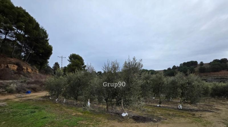 Lérida - Alpicat - 39735m2