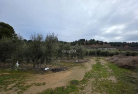 Alpicat 39735&nbsp;m²