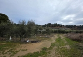 Casa con terreno en venta en la España, Alpicat, ref: TR388429 foto