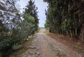 Alpicat 39735&nbsp;m²