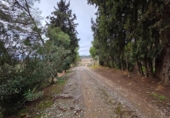 Casa con terreno en venta en la España, Alpicat, ref: TR388429 foto