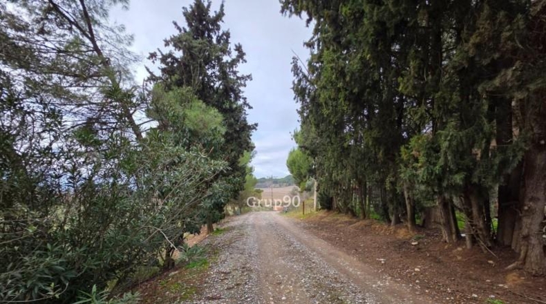 Lérida - Alpicat - 39735m2