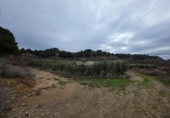 Casa con terreno en venta en la España, Alpicat, ref: TR388429 foto