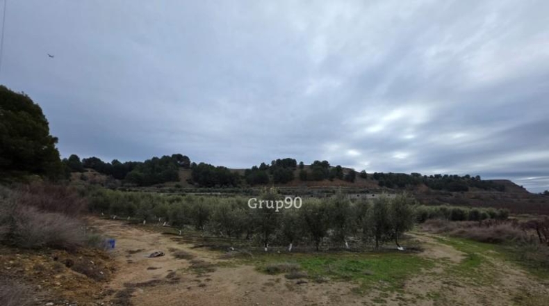 Lérida - Alpicat - 39735m2