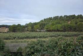 Alpicat 39735&nbsp;m²