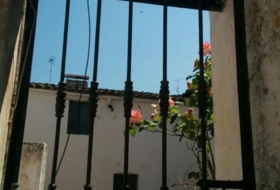 Alcuéscar 600&nbsp;m²