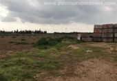 Parcela urbanizable en venta en la España, Sa Pobla, ref: TR397816 foto