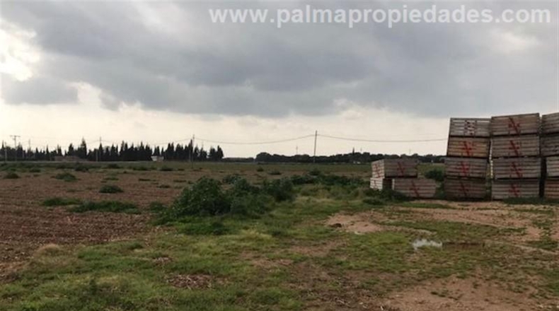 Valencia - la Pobla Llarga - 100m2