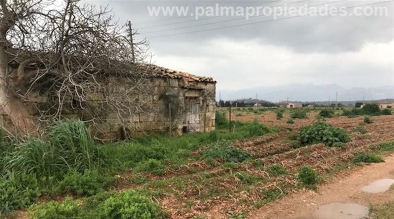 Valencia - la Pobla Llarga - 100m2