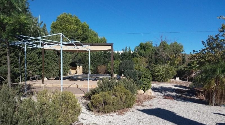 Alicante - Crevillent - 3000m2