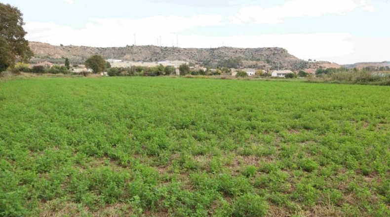 Cadiz - Cádiz - 32556m2