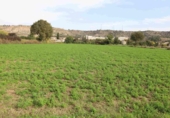Parcel·la urbanitzable en venda a la España, Alcanyís, ref.: TR361891 foto