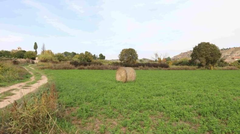 Cadiz - Cádiz - 32556m2