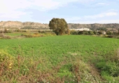 Parcel·la urbanitzable en venda a la España, Alcanyís, ref.: TR361891 foto