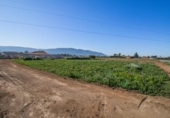 Country house with land for sale on España, Lorca, ref: TR390300 photo
