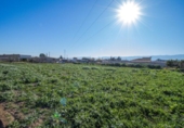 Country house with land for sale on España, Lorca, ref: TR390300 photo