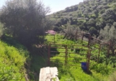 Country house with land for sale on España, Frigiliana, ref: TR384045 photo
