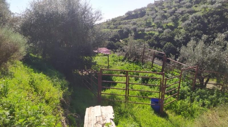 Málaga - Frigiliana - 9000m2