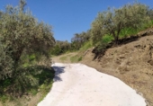 Country house with land for sale on España, Frigiliana, ref: TR384045 photo