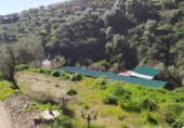 Country house with land for sale on España, Frigiliana, ref: TR384045 photo