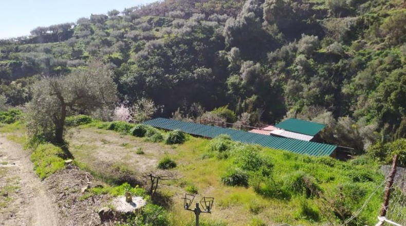 Málaga - Frigiliana - 9000m2
