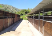 Country house with land for sale on España, Frigiliana, ref: TR384045 photo