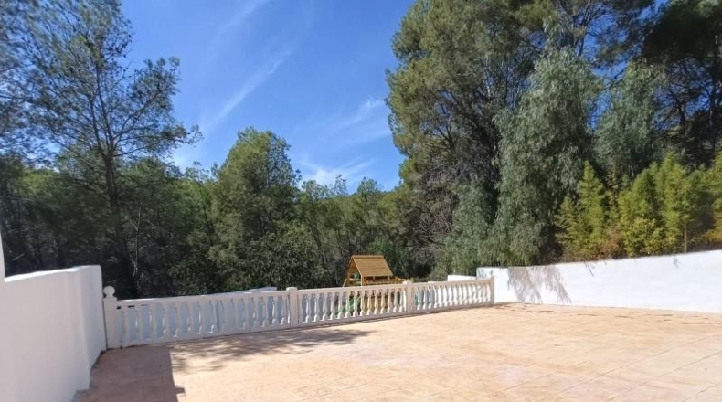 Valencia - Albalat de Tarongers - 836m2