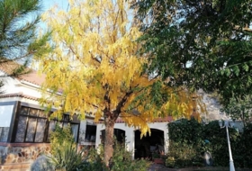 Villalbilla 1427&nbsp;m²