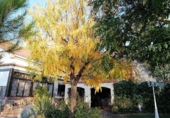 Detached villa with land for sale on España, Villalbilla, ref: TR152541 photo