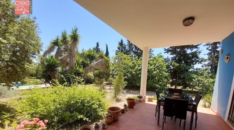 Murcia - Murcia - 7300m2