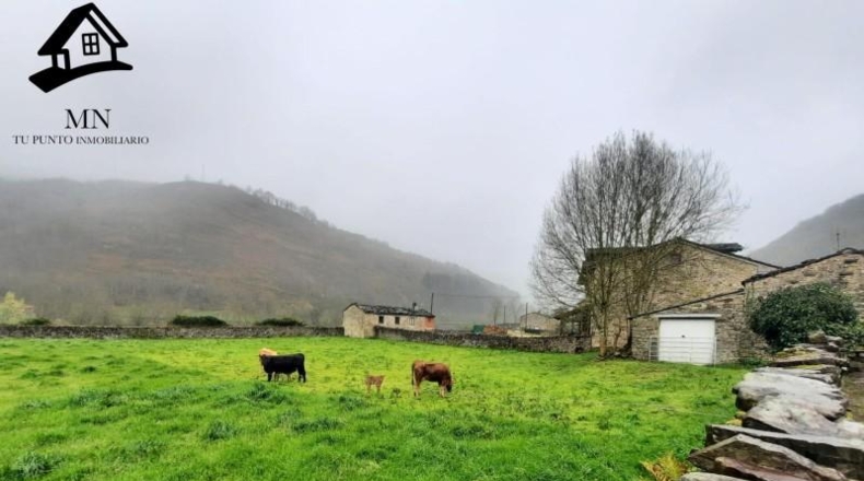 Cantabria - Vega de Pas - 3425m2