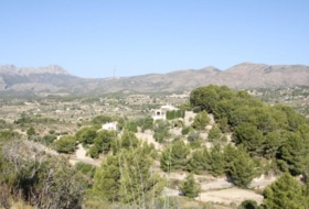 Foto 11