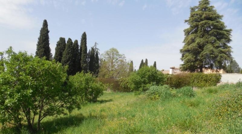 Granada - Albolote - 1500m2