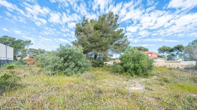 Балеарские острова - Llucmajor - 1293m2