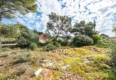 Urban land for sale on España, Llucmajor, ref: TR405682 photo
